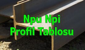 Npu Npi Profil Tablosu