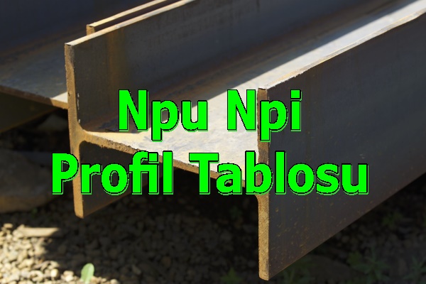 Npu Npi Profil Tablosu